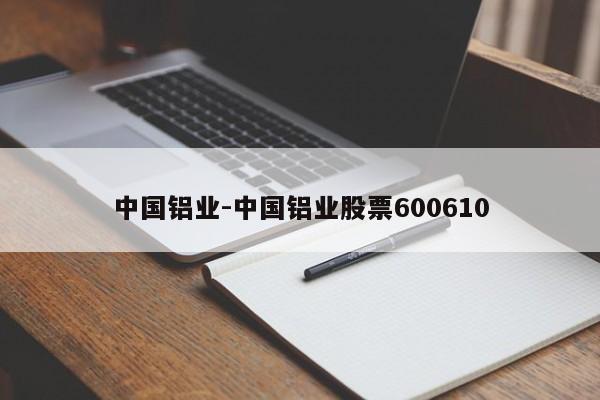 中国铝业-中国铝业股票600610